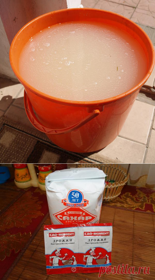 Дрожжевая подкормка для овощей