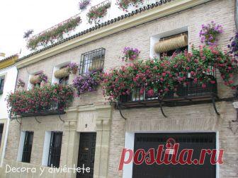 patios cordobeses interiores bonitos - Buscar con Google