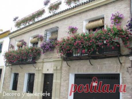patios cordobeses interiores bonitos - Buscar con Google