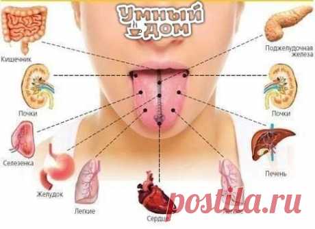 Фотографии на стене сообщества | 32 803 фотографии
