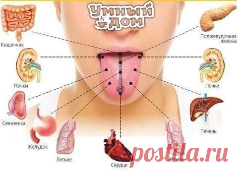 Фотографии на стене сообщества | 32 803 фотографии