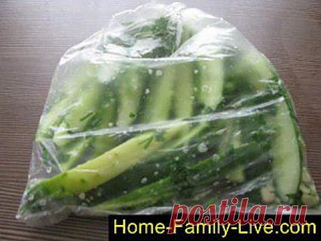 Малосольные огурцы -пошаговый фоторецепт - быстрые малосольные огурцы | Кулинарные рецепты