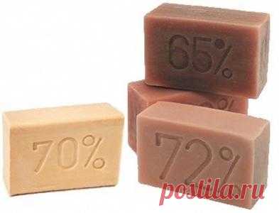 Удивительные лечебные свойства 