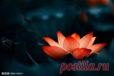 (4716) Pinterest: Discover and save creative ideas