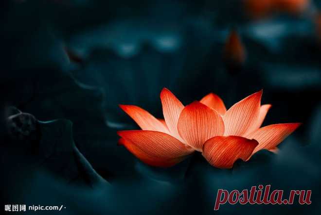 (4716) Pinterest: Discover and save creative ideas