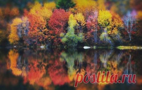 РАДУЖНОЕ ОТРАЖЕНИЕ ОСЕНИ