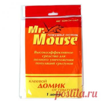 RICHSOUL - магазин полезных вещей | Домик клеевой Mr, MOUSE от грызунов