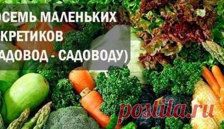 ВОСЕМЬ МАЛЕНЬКИХ СЕКРЕТИКОВ (САДОВОД - САДОВОДУ)