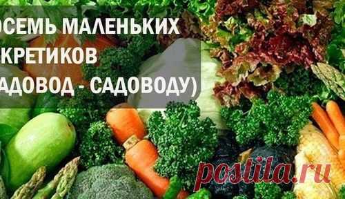 ВОСЕМЬ МАЛЕНЬКИХ СЕКРЕТИКОВ (САДОВОД - САДОВОДУ)