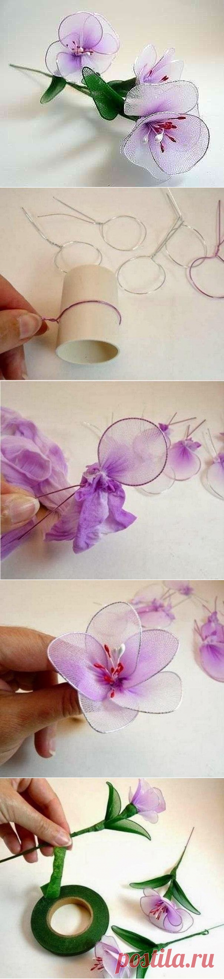 (52) Одноклассники