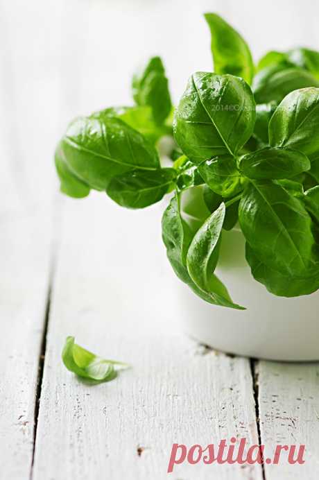 Урок: Обработка фото за 5 минут