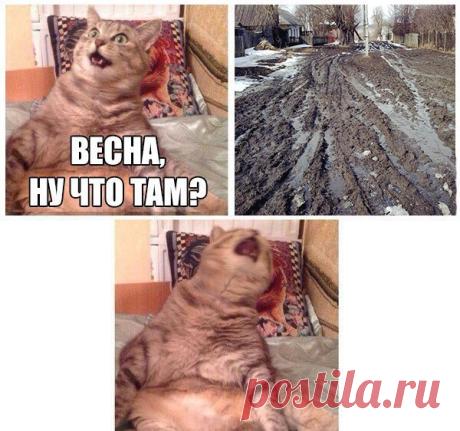 ЭКСТРАюмор