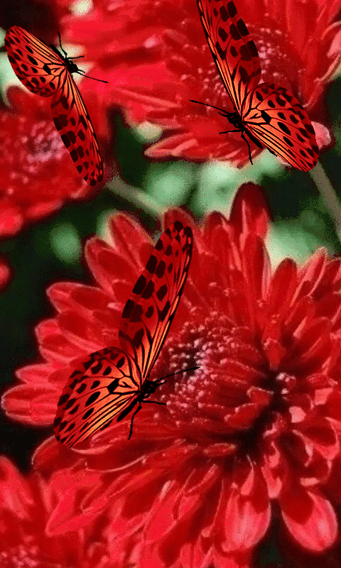 Лето