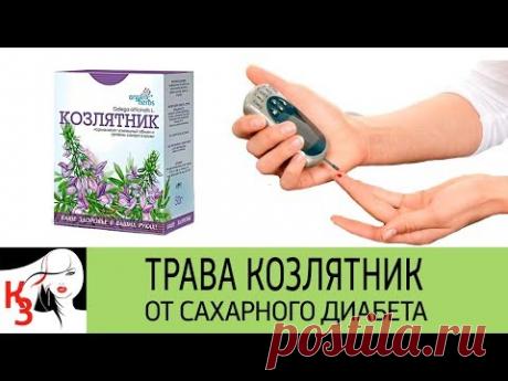 Трава козлятник от сахарного диабета.  Лечебные рецепты. Как принимать - YouTube