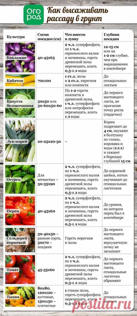 (139) Pinterest