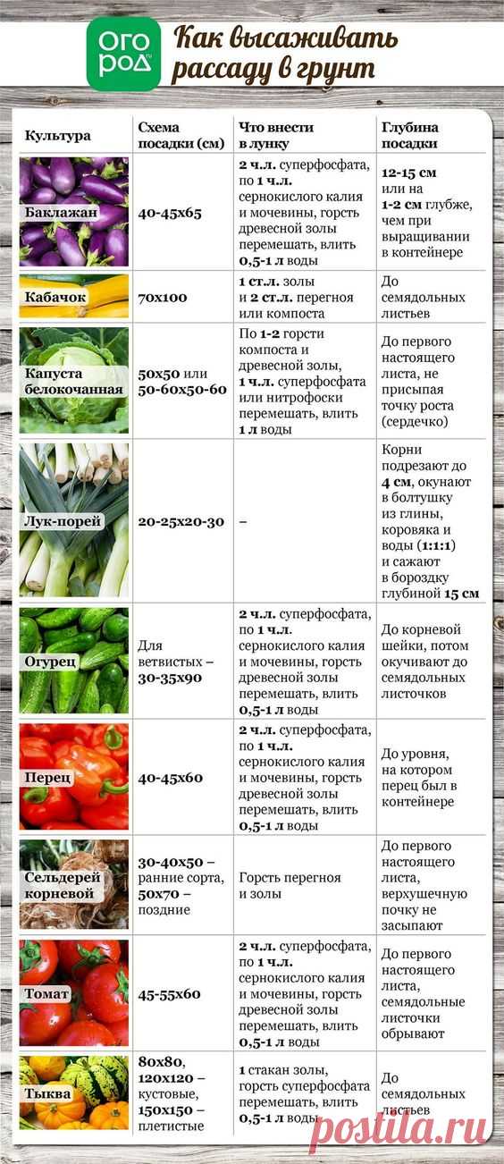 (139) Pinterest