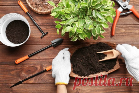 Готовим почву для комнатных растений