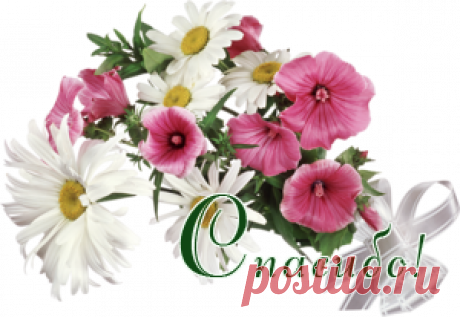 салат от кореянки | 4vkusa.ru