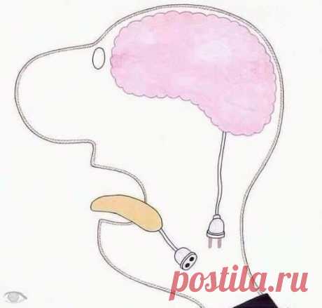 Друзья, какие планы на обед? 

Ответ продвинутым друзьям моим или поздравления с новым годом. 

2016 год характерен для меня тем, что мне пришлось принять три важных для меня решения: 1)я отказалась от решения важного для меня вопроса ради мира в многоквартирном доме; 2)приняла решение о возврате долгов; 3)сделала отчет своей жизни и привела в порядок свои задачи и планы (программы). 

2016 год характерен еще и тем, что в этом году у меня добавились друзья-online, практиче...