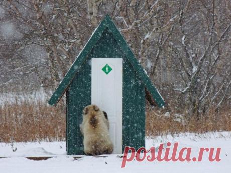 Больше, чем фото