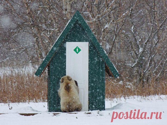 Больше, чем фото