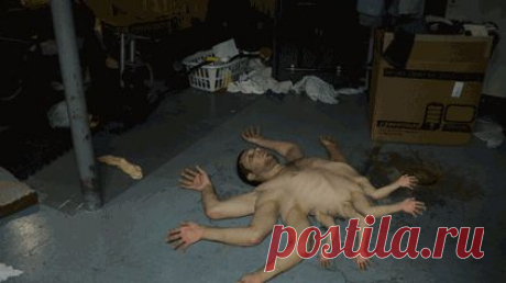 Жертва ГМО