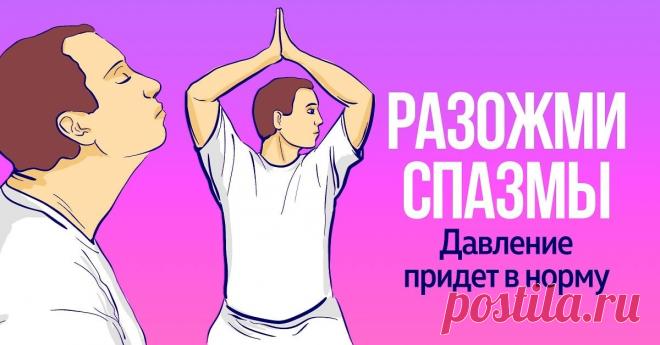 «Гимнастика для шеи с музыкой» Шишонина и как ее выполнять Лучший подарок, который ты можешь сделать самому себе.