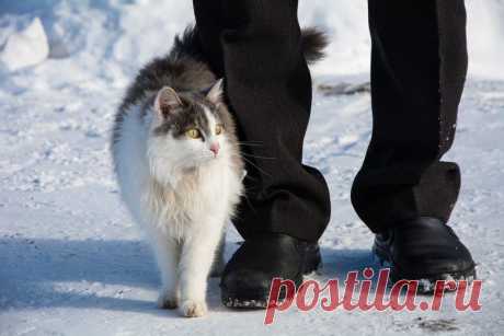 ФОТОМАСТЕРСКАЯ ПРИРОДЫ
Мария Валеева  (Табаринцева)