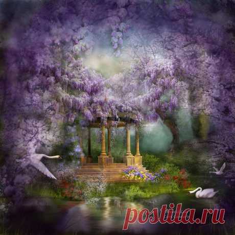 В ливень глициний...