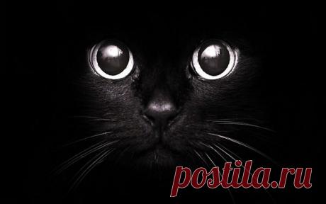 Небольшое изменение правил / Как стать автором / Модный сайт о стильной переделке одежды и интерьера