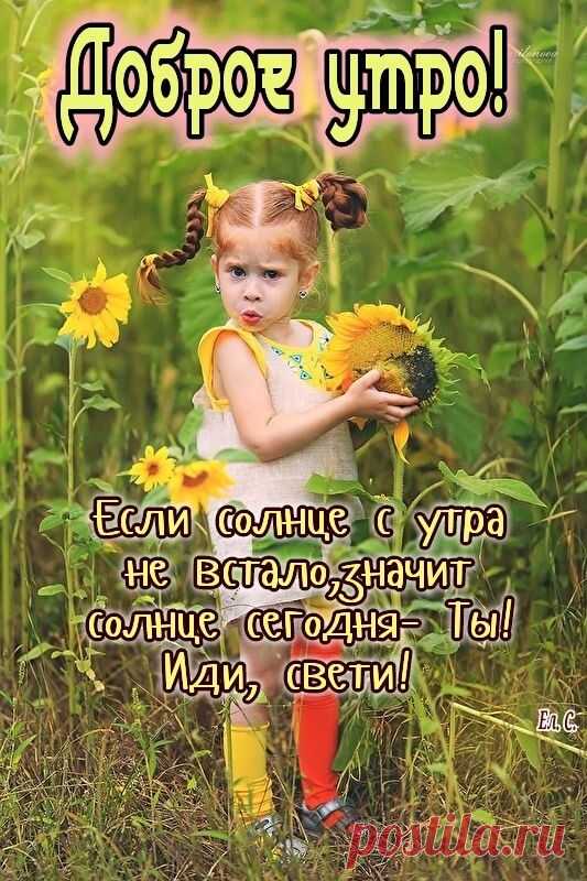 Фото группы Сундучок открыток и пожеланий