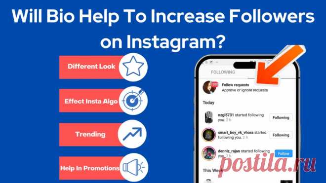 Will Bio Help To Increase Followers on Instagram?