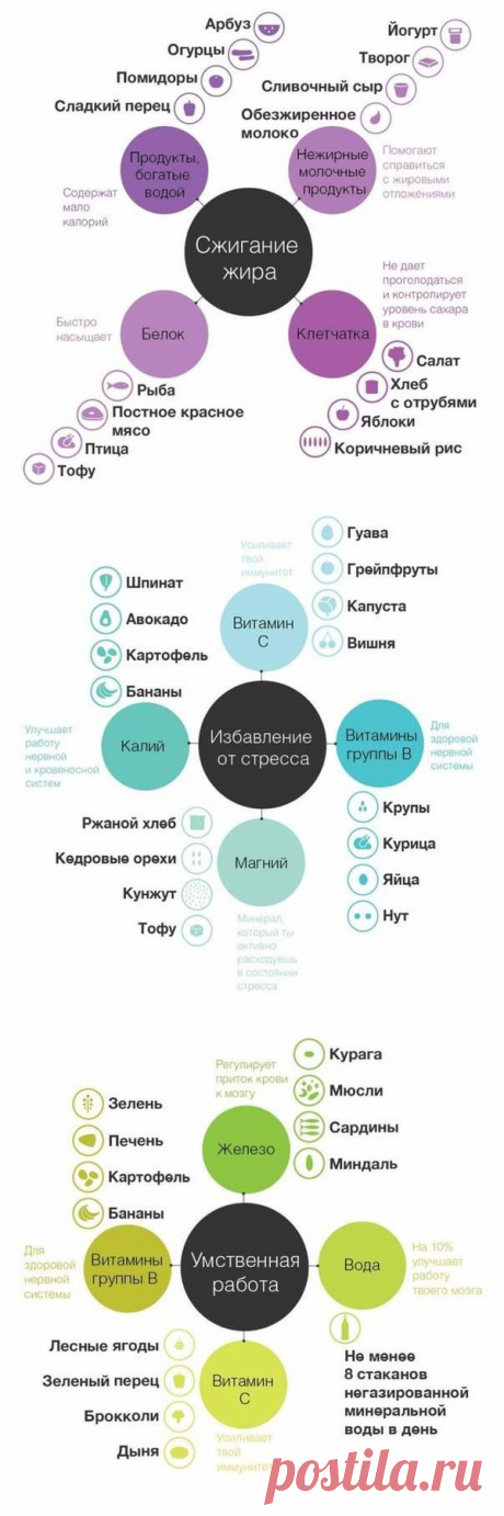 ПОЛЕЗНЫЕ КАЧЕСТВА ПРОДУКТОВ
