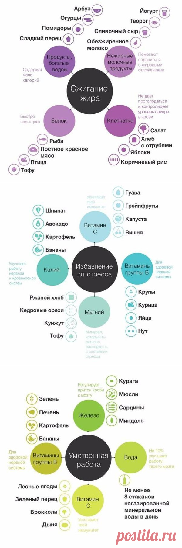 ПОЛЕЗНЫЕ КАЧЕСТВА ПРОДУКТОВ