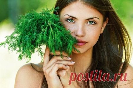 Применение укропа в качестве – ухода за кожей лица