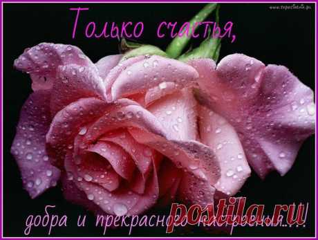 Архив открыток отправленных 5 Декабря 2014 года. Добавили: Алёнушка , София Роман, Светлана Облова, Таисия , Лариса Костромина, Галина Седачева, Игорь Кузнецов, Наталья Моисеева, Геннадий Ступников