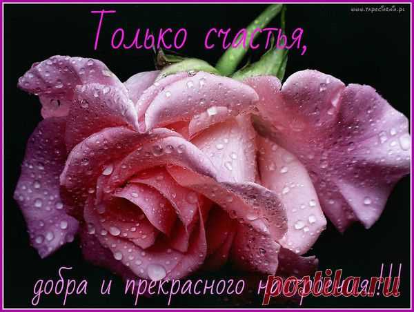 Архив открыток отправленных 5 Декабря 2014 года. Добавили: Алёнушка , София Роман, Светлана Облова, Таисия , Лариса Костромина, Галина Седачева, Игорь Кузнецов, Наталья Моисеева, Геннадий Ступников