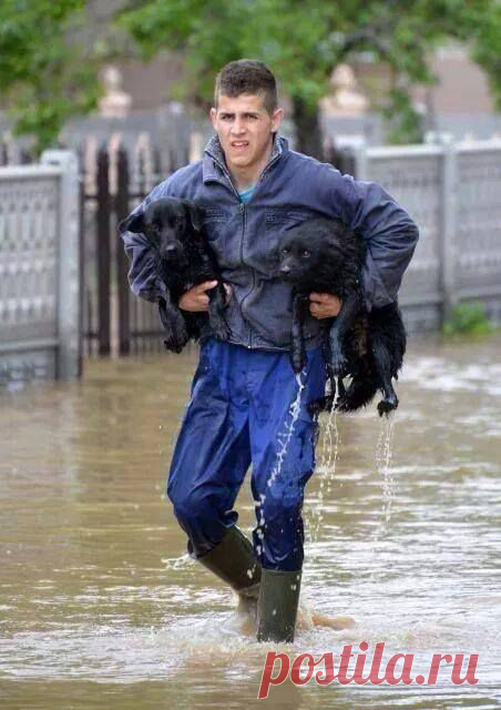 Serbia yesterday.