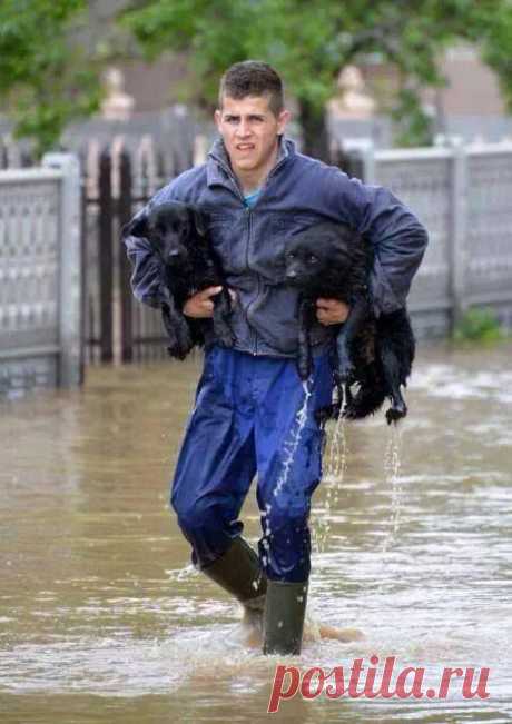 Serbia yesterday.