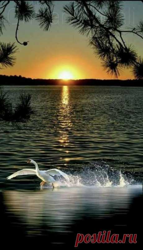 man made and natural wonders