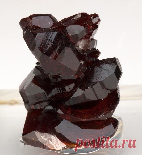 Minerals, Crystals & Fossils