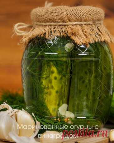 Маринованные огурцы с виноградом на зиму