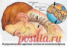 Письмо «❀ Ирисы. 5 полезных таблиц. Интересный мотив. Домашние шампуни. Крем Рафаэлло. Шейный остеохандроз. Дачные идеи. Сумасшедший автобус // Кусочек Постилы к чаю!» — Постила — Яндекс.Почта