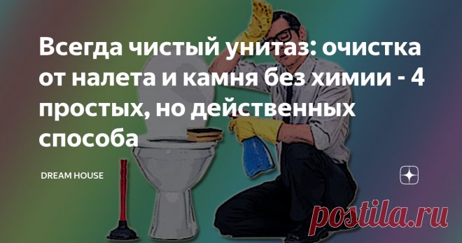 Всегда чистый унитаз: очистка от налета и камня без химии - 4 простых, но действенных способа Итак, унитаз! Сантехнический прибор, который, как не крути, является важным в жизни каждого. Мало того, что...