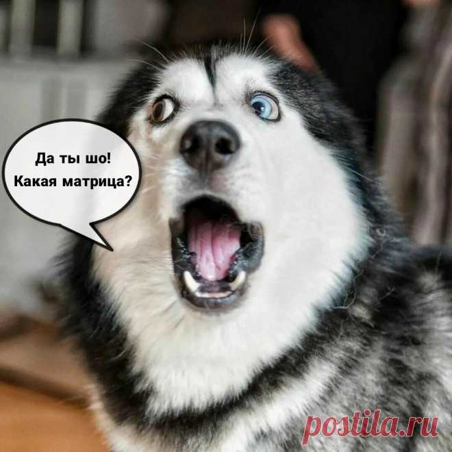 Мы все живём в матрице! Это реально работает или бред собачий ?