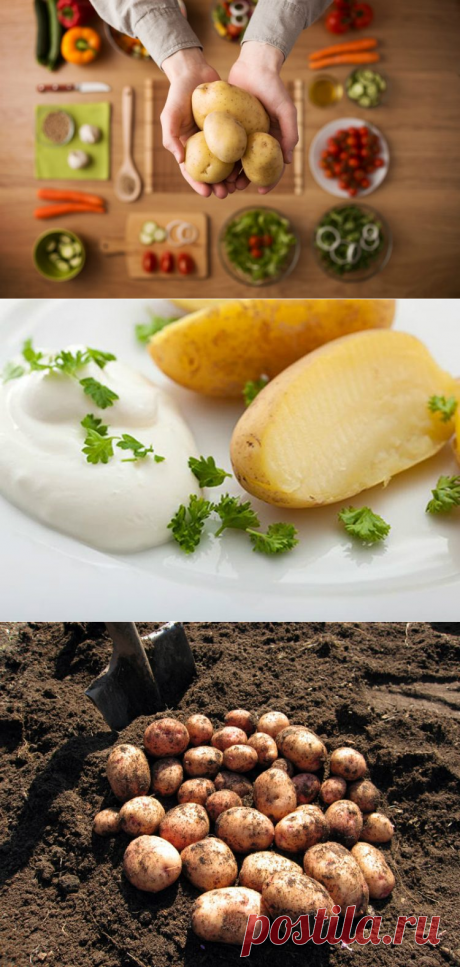Худеем вкусно на картофельной ! / Будьте здоровы