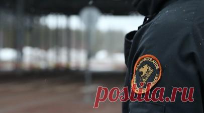 Финские пограничники задержали первых в этом году нарушителей на границе. Сотрудники пограничной службы юго-восточной Финляндии задержали первых в этом году нарушителей на границе с Россией. Читать далее