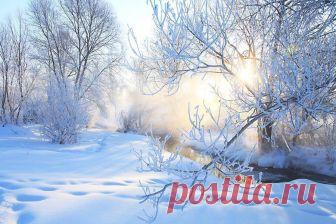 Лунный календарь огородника на февраль 2019 года в таблице В этой статье вы найдете подробный лунный календарь огородника на февраль 2019 года, оформленный в виде таблицы с конкретным указанием действий