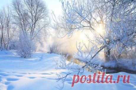 Лунный календарь огородника на февраль 2019 года в таблице В этой статье вы найдете подробный лунный календарь огородника на февраль 2019 года, оформленный в виде таблицы с конкретным указанием действий