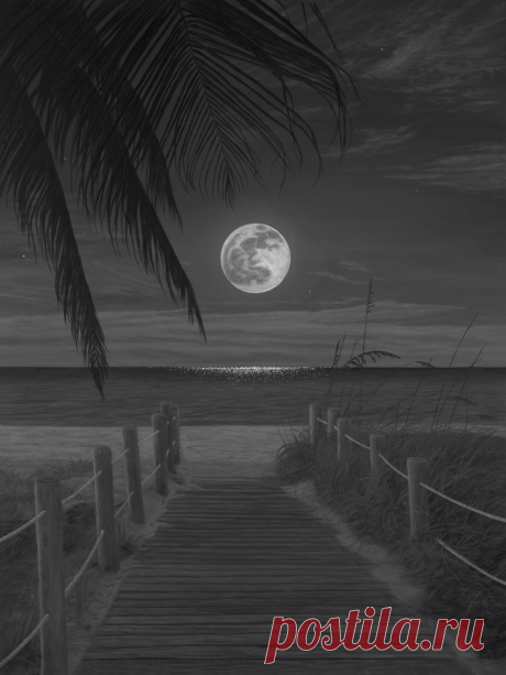 The_Art_of_Phillip_Anthony